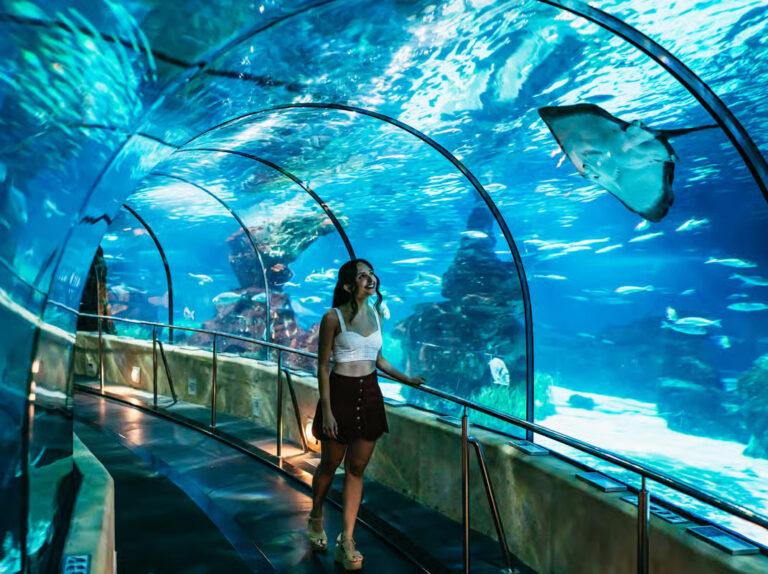 קרדיט תמונה - GetYourGuide